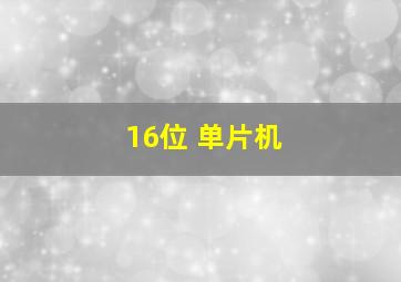 16位 单片机